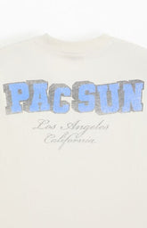 Pacsun Varsity Bear T-Shirt