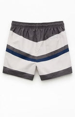Pacsun Pierre Striped Eco 4.5" Swim Trunks
