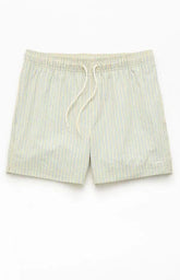 Pacsun Smiley Stripe Seersucker 4.5" Swim Trunks