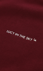 Lucy Oversized Crewneck in Burgundy