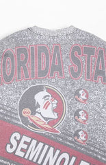 Mitchell & Ness Florida State Seminoles Playmaker T-Shirt