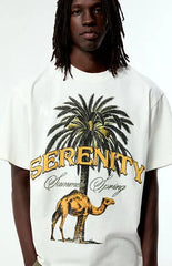 Pacsun Serenity Cropped T-Shirt