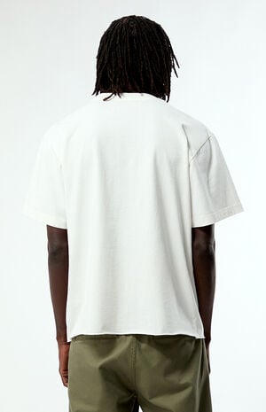 Pacsun Serenity Cropped T-Shirt