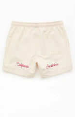 Pacsun Pebble Applique 4.5" Swim Trunks