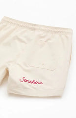 Pacsun Pebble Applique 4.5" Swim Trunks