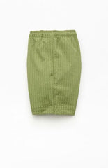 Pacsun Green Hudson Striped 5.5" Swim Trunks
