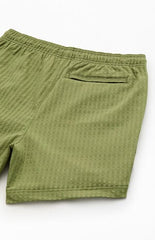 Pacsun Green Hudson Striped 5.5" Swim Trunks