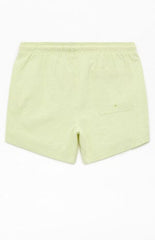 Pacsun Sea Foam Seersucker 4.5" Swim Trunks