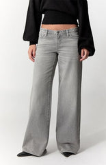 Pacsun Kaia Ultimate Low Rise Baggy Jeans Gray